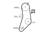 Timing belt 5077 Gates