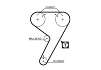 Timing belt 5080 Gates