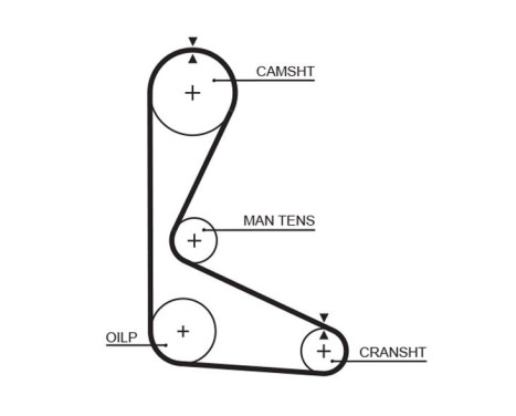 Timing belt 5103 Gates