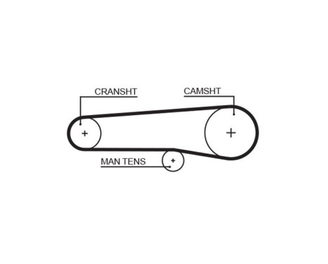 Timing belt 5116 Gates