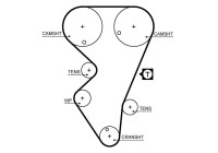 Timing belt 5206 Gates