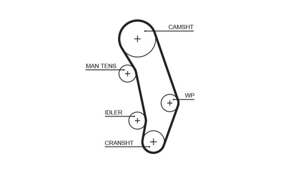 Timing belt 5346XS Gates