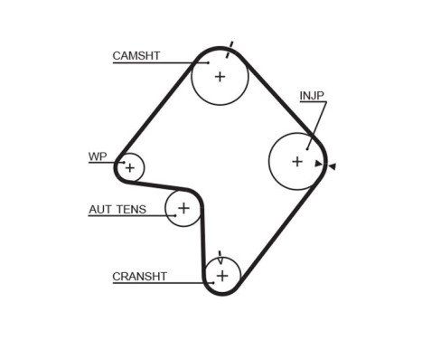 Timing belt 5355XS Gates, Image 2