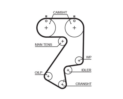 Timing belt 5404XS Gates