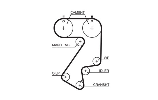 Timing belt 5404XS Gates