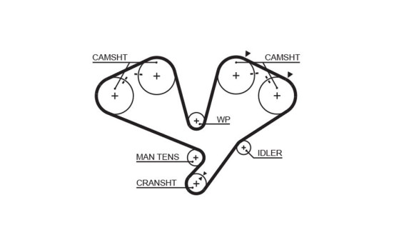 Timing belt 5442XS Gates