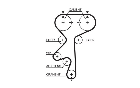 Timing belt 5461XS Gates