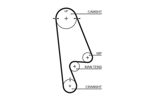 Timing belt 5480XS Gates