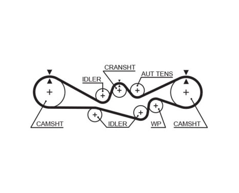 Timing belt 5537XS Gates, Image 2