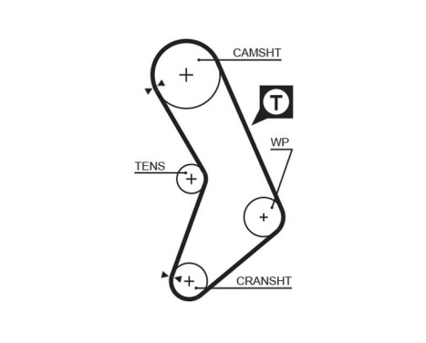 Timing belt 5545XS Gates, Image 2