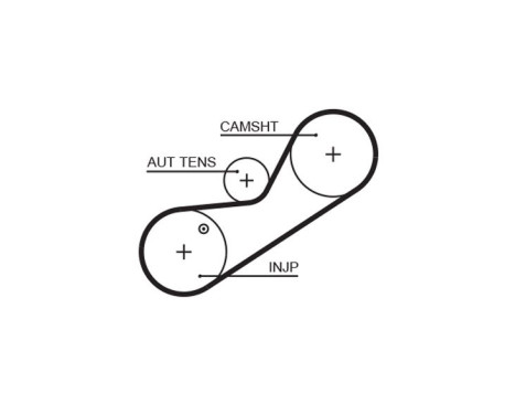 Timing belt 5546XS Gates, Image 2