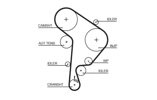 Timing belt 5559XS Gates, Image 2