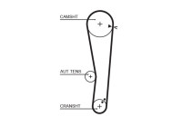 Timing belt 5568XS Gates