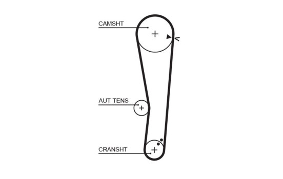 Timing belt 5568XS Gates