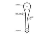 Timing belt 5577XS Gates