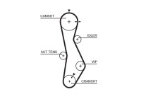 Timing belt 5579XS Gates