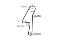 Timing belt 5580XS Gates