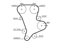 Timing belt 5583XS Gates