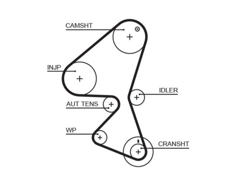 Timing belt 5587XS Gates
