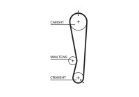 Timing belt 5591XS Gates