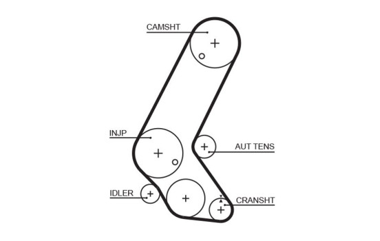 Timing belt 5595XS Gates