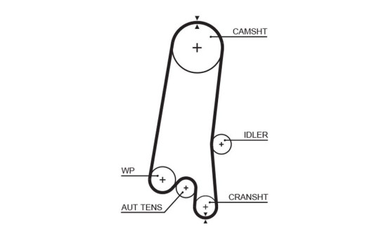 Timing belt 5597XS Gates