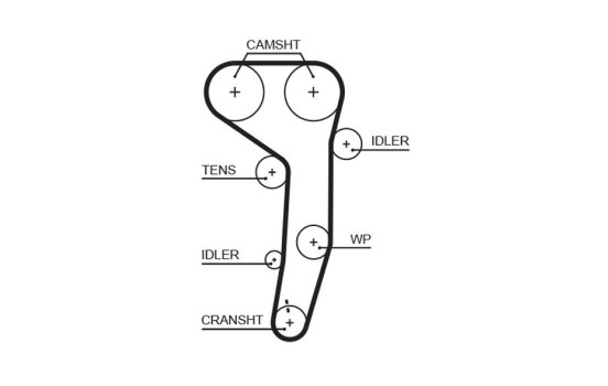 Timing belt 5607XS Gates