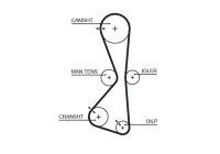 Timing belt 5609XS Gates