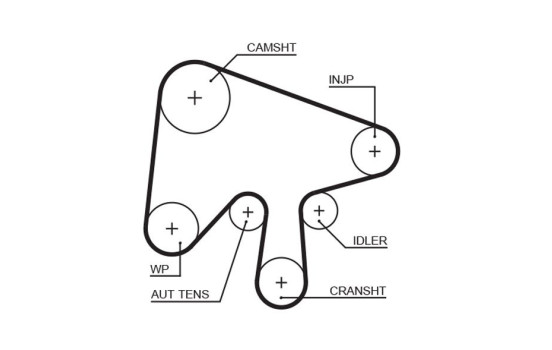 Timing belt 5630XS Gates