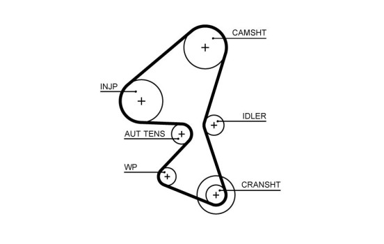 Timing belt 5656XS Gates