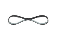Timing Belt 7629,525M20 Bosch
