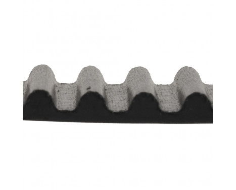 Timing Belt ADA107501 Blue Print, Image 2