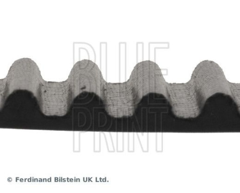 Timing Belt ADA107501 Blue Print, Image 4