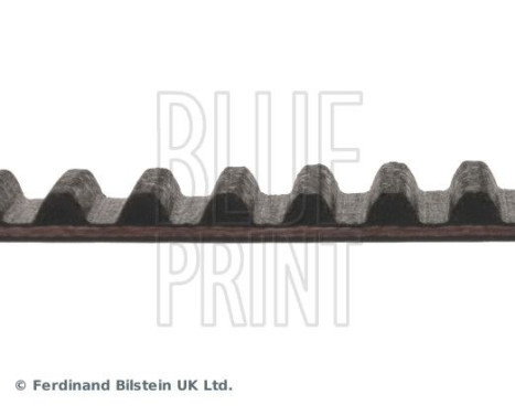 Timing Belt ADA107502 Blue Print, Image 4