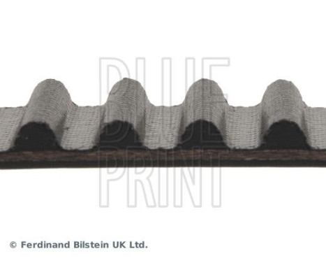 Timing Belt ADA107504 Blue Print, Image 4