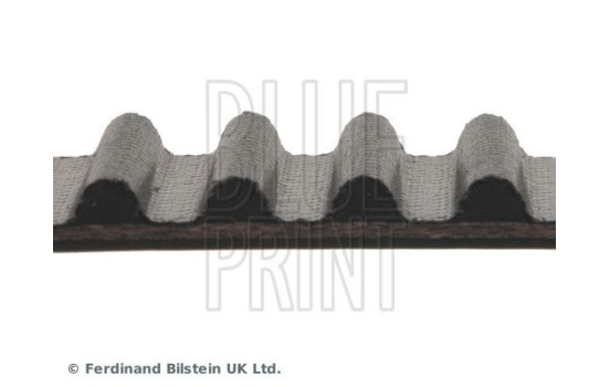 Timing Belt ADA107504 Blue Print, Image 4