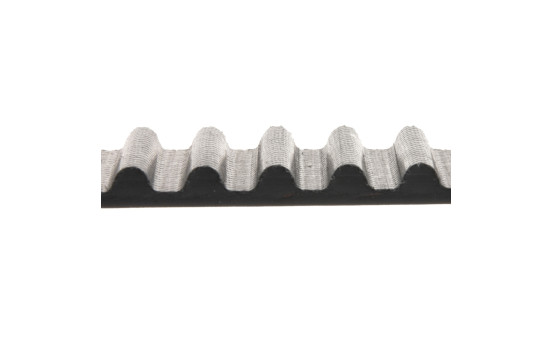 Timing Belt ADA107505 Blue Print, Image 2