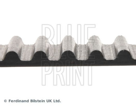 Timing Belt ADA107505 Blue Print, Image 4