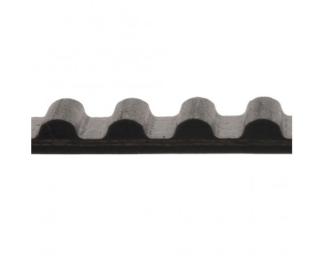 Timing Belt ADC47502 Blue Print, Image 2