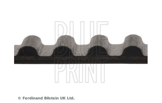 Timing Belt ADC47502 Blue Print, Image 4