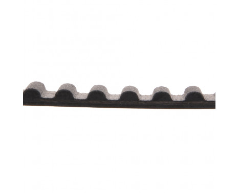 Timing Belt ADC47508 Blue Print, Image 2