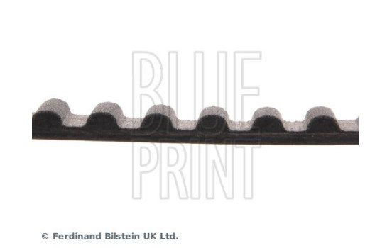 Timing Belt ADC47508 Blue Print, Image 4