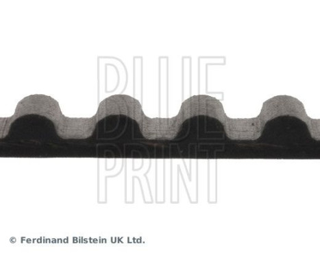 Timing Belt ADC47511 Blue Print, Image 4