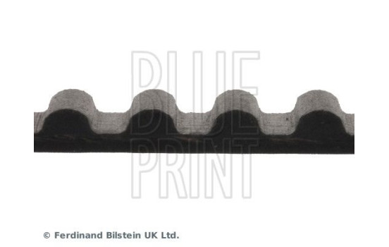 Timing Belt ADC47511 Blue Print, Image 4