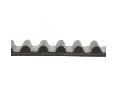 Timing Belt ADC47512 Blue Print, Image 2