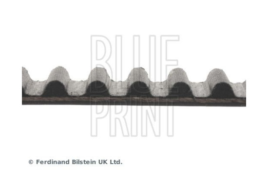 Timing Belt ADC47512 Blue Print, Image 4