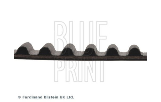 Timing Belt ADC47514 Blue Print, Image 4