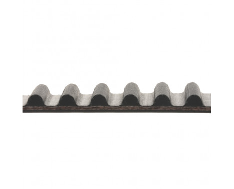 Timing Belt ADC47517 Blue Print, Image 2