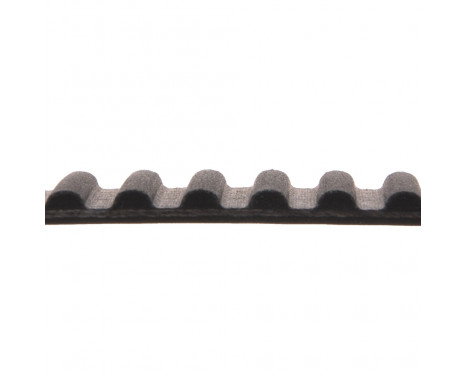 Timing Belt ADC47518 Blue Print, Image 2