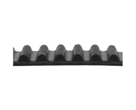 Timing Belt ADC47520 Blue Print, Image 2